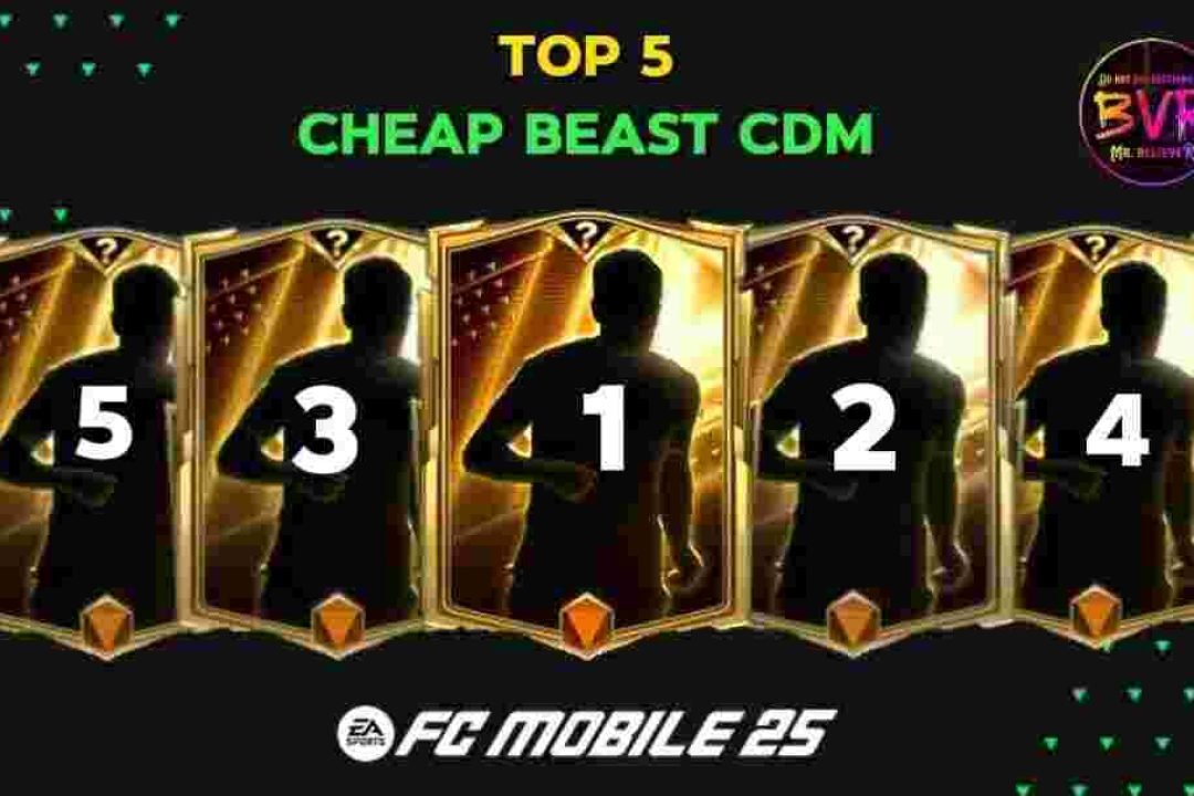 Top 5 Best Cheap CDM