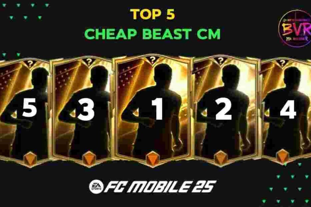 Top 5 Best Cheap CM