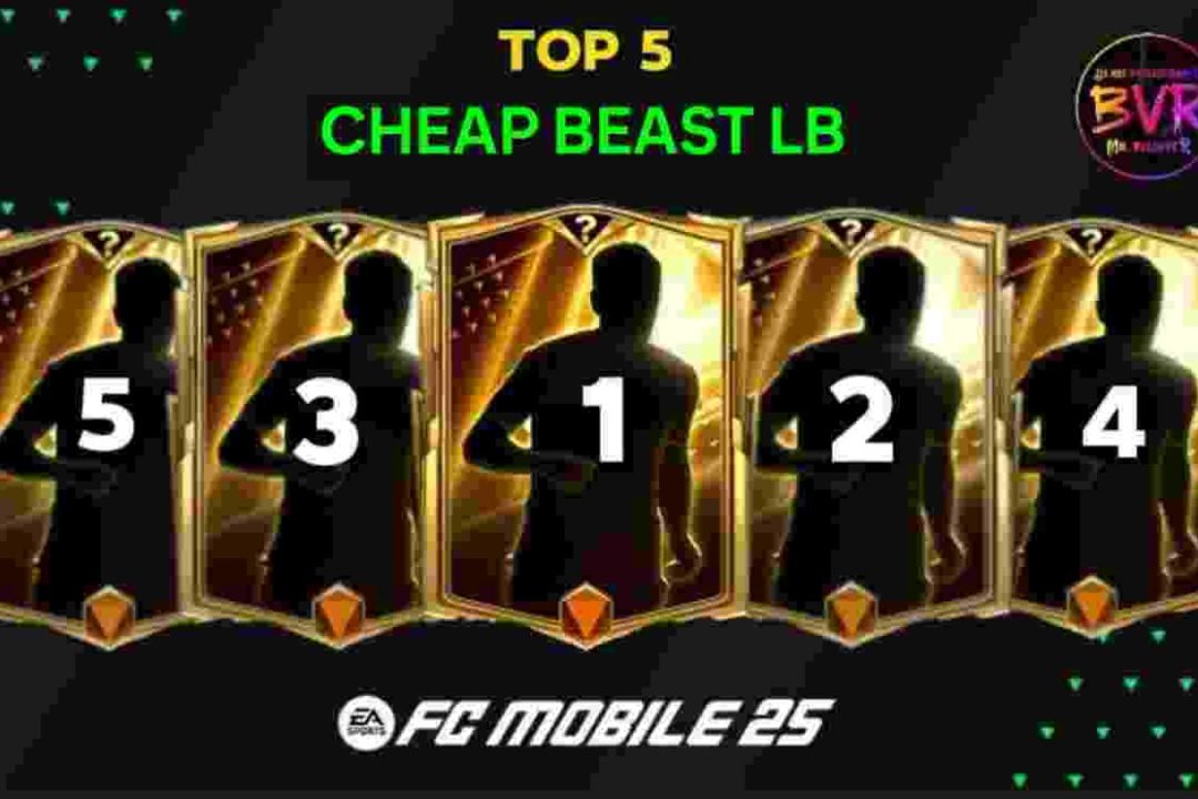 Top 5 Best Cheap LB