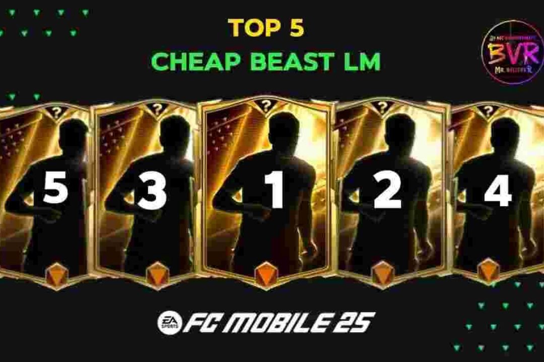 Top 5 Best Cheap LM