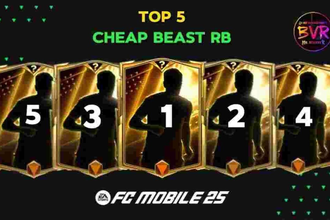 Top 5 Best Cheap RB