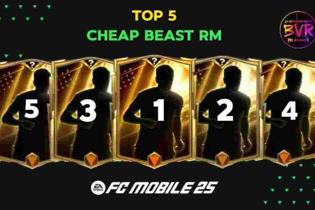 Top 5 Best Cheap RM